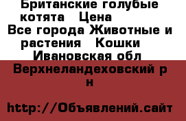 Британские голубые котята › Цена ­ 5 000 - Все города Животные и растения » Кошки   . Ивановская обл.,Верхнеландеховский р-н